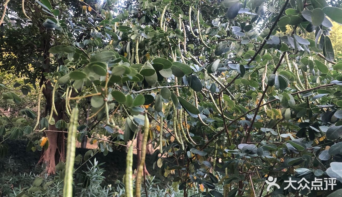 南宁就是粉粉粉～
