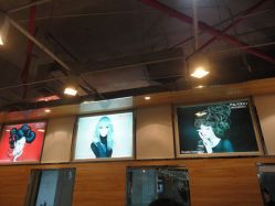 DSC00482_副本-美秀造型