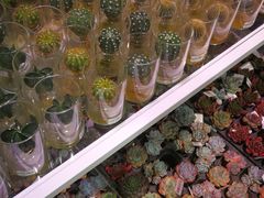 -KKV(深圳宏发大仟里店)