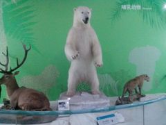 android_upload_pic-国家自然博物馆