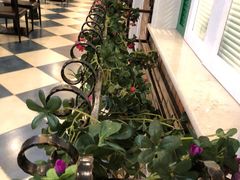 -直隶安家罩饼(复兴路店)