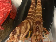 -鲜入围煮花胶鸡海鲜火锅