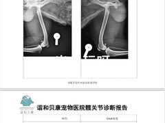 -谐和贝康宠物医院24小时·宠保定点(急重症转诊中心)