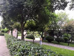-唐城墙遗址公园