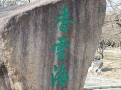 -香雪海