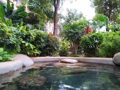 -稷泽·海丽宾雅温泉度假酒店