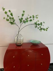 -悦润荟美容抗衰中心