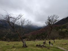 -硗碛藏寨·神木垒景区