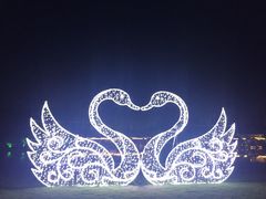 -秀丽东方