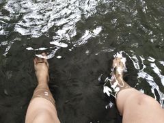 -龙山酒店温泉