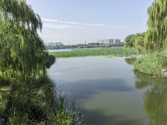 -大兴滨河森林公园