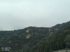 -龙口南山旅游景区