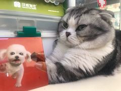 -宠颐生中康贝怡动物医院