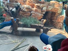 -石家庄市动物园