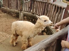 -石家庄市动物园