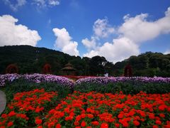 -广州市石门国家森林公园
