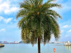 -鼓浪屿