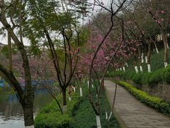 -重庆彩云湖湿地公园