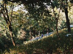 -广州市白云山风景名胜区