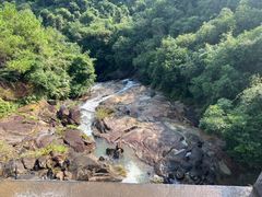 -广州白江湖森林公园