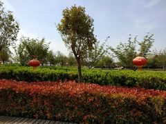 -古柏渡飞黄旅游区