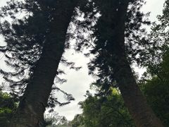 -飞霞风景名胜区