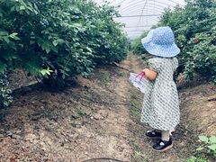 -米果果小镇