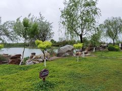 -大港湿地公园