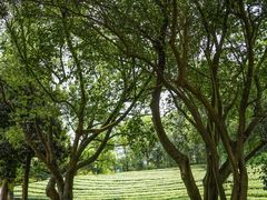 -敬亭山风景名胜区