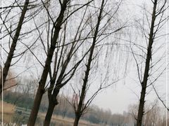 -中关村生命科学园