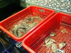 -巽寮印象美食部落餐厅·海鲜·地方特色菜(惠州体验店)