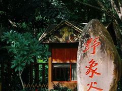 -野象谷景区