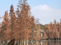 -白鹭湾湿地公园