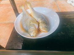 -四海蒸鲜蒸汽海鲜自助(北戴河店)
