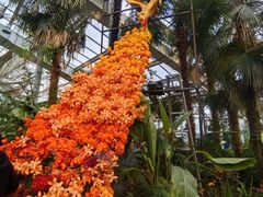 -沈阳植物园
