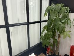 -丹曦·美甲美睫