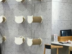 -喵园·猫主题咖啡厅·撸猫·猫咖(国贸店)