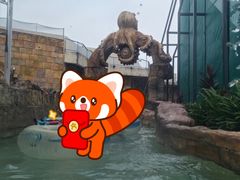 -新加坡水上探险乐园