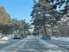 -东北大学(南湖校区)