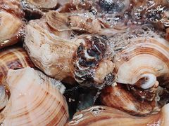 -老虎滩船说·海胆水饺·大连海鲜(老虎滩店)