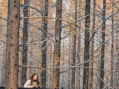 -黄海国家森林公园