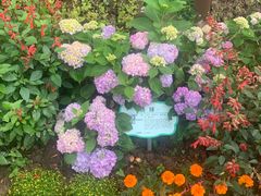 -铁山坪森林公园