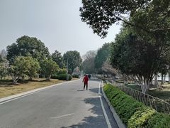 -合肥生态公园