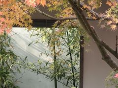 -秋霞圃