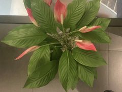 -百富源·海鲜辽菜(和平北大街店)