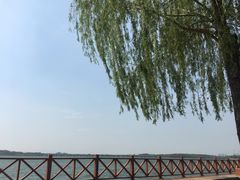 -丁香湖公园