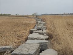 -绿堤公园
