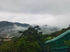 -海南槟榔谷黎苗文化旅游区