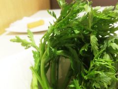 -钢管厂五区小郡肝串串香(奥克斯广场锦城万达店)