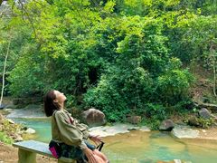 -广州白江湖森林公园